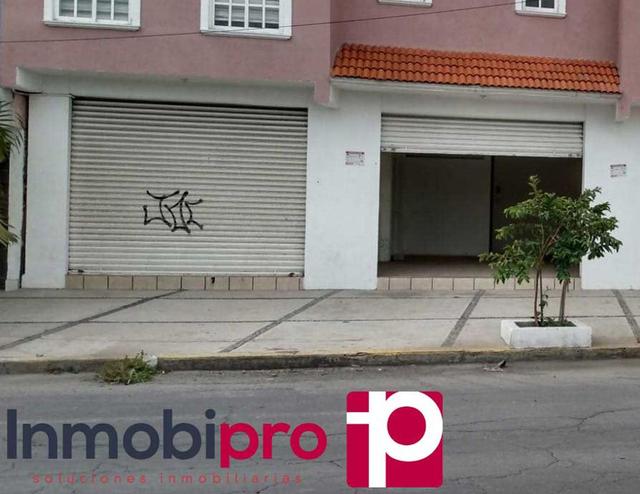 Foto de la galeria de imagenes