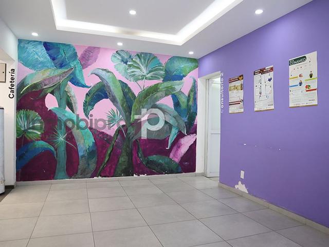 Foto de la galeria de imagenes