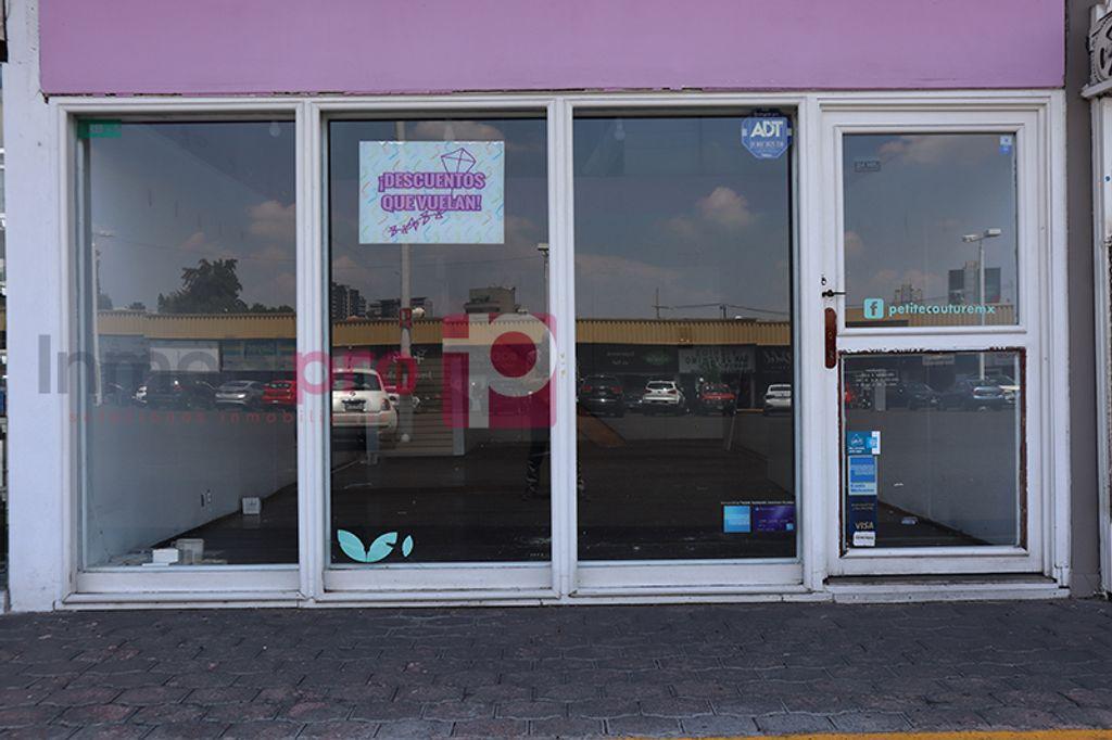 Foto de la galeria de imagenes