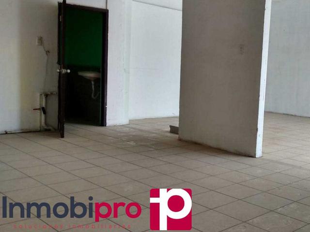 Foto de la galeria de imagenes