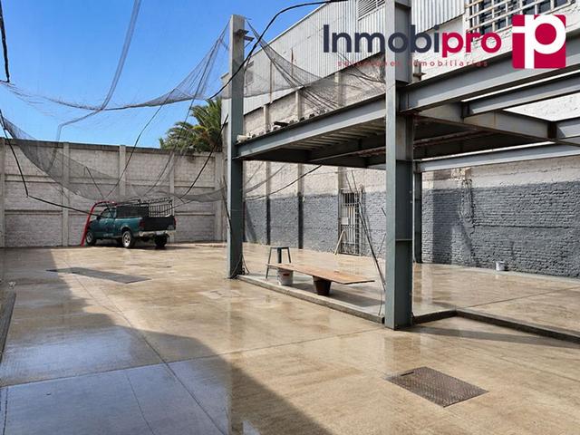 Foto de la galeria de imagenes