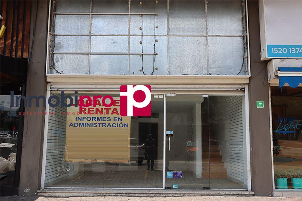 Foto de la galeria de imagenes